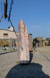  Vorschaubild A034-9829