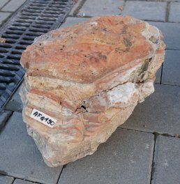  Vorschaubild AFG190-35954