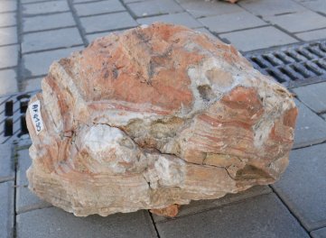  Vorschaubild AFG190-35954