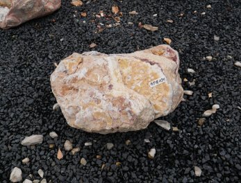  Vorschaubild AFG191-35955