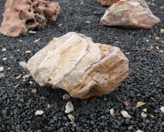  Vorschaubild AFG191-35955