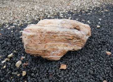  Vorschaubild AFG191-35955