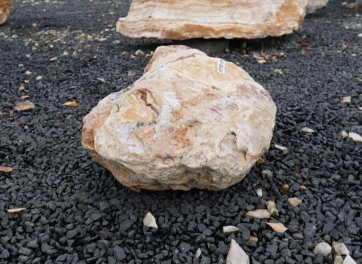  Vorschaubild AFG191-35955