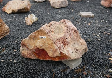  Vorschaubild AFG202-36158