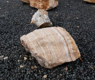  Vorschaubild AFG204-36163