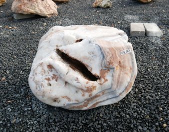  Vorschaubild AFG207-36160