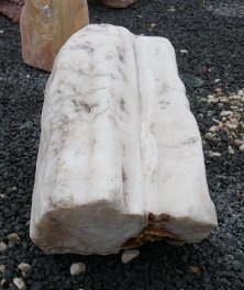  Vorschaubild AFG209-36204