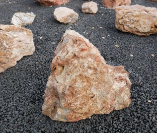  Vorschaubild AFG307-6527