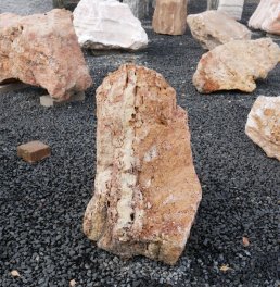  Vorschaubild AFG307-6527