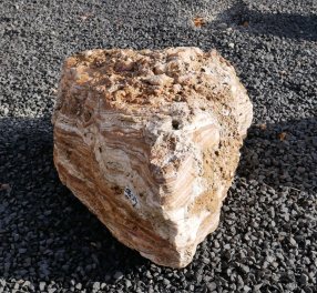  Vorschaubild AFG314-6525