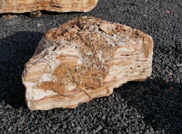  Vorschaubild AFG314-6525