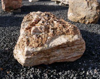  Vorschaubild AFG314-6525