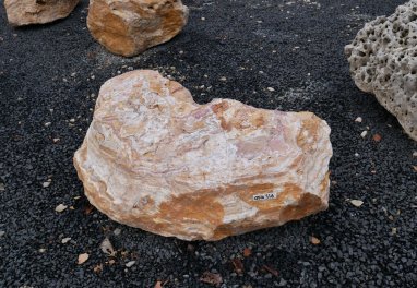  Vorschaubild AFG316-6533