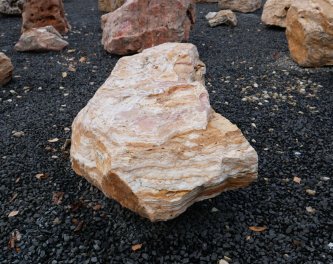  Vorschaubild AFG316-6533