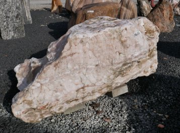  Vorschaubild AFG323-6541