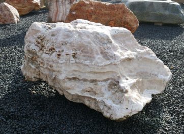  Vorschaubild AFG323-6541