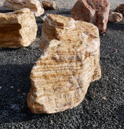  Vorschaubild AFG332-6614