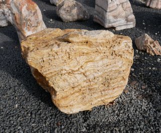  Vorschaubild AFG365-4470