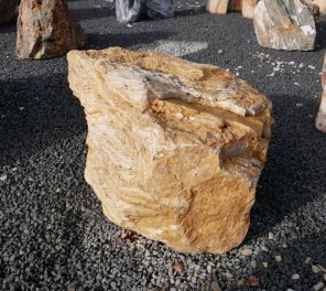  Vorschaubild AFG365-4470