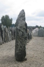  Vorschaubild AZ014-21219