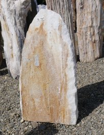  Vorschaubild B131-33799