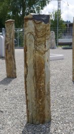  Vorschaubild BU022-36623