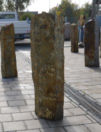  Vorschaubild BU102-37360
