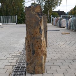  Vorschaubild BU121-37370