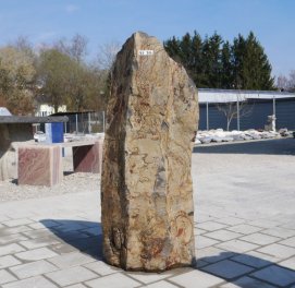  Vorschaubild BU306-36436