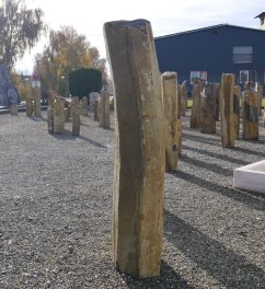  Vorschaubild BU481-36119