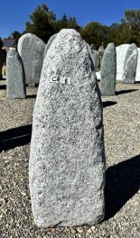  Vorschaubild CR008-37142