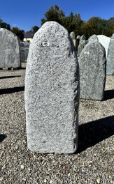  Vorschaubild CR010-37143