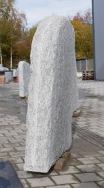  Vorschaubild CR014-36083