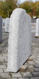  Vorschaubild CR018-36085