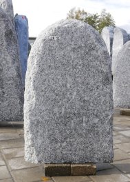  Vorschaubild CR022-36088