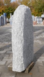  Vorschaubild CR022-36088