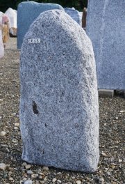  Vorschaubild CR058-36825