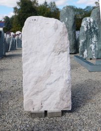  Vorschaubild D100-37338