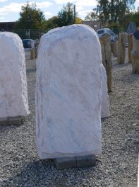  Vorschaubild D100-37338