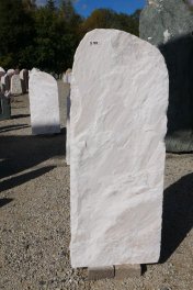  Vorschaubild D105-37342