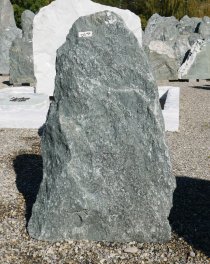  Vorschaubild DG099-37320