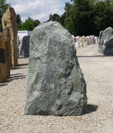 Vorschaubild DG140-33529