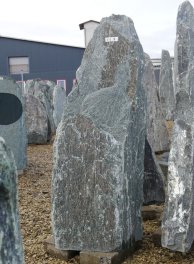  Vorschaubild EV007-36281