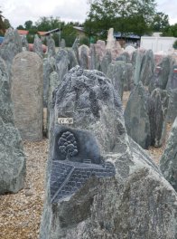  Vorschaubild EV011-31460