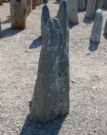  Vorschaubild EV163-31260