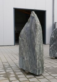  Vorschaubild EV195-34325