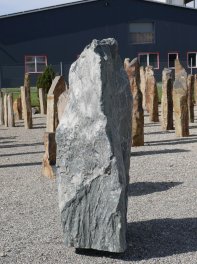  Vorschaubild EV209-29463