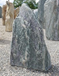 Vorschaubild EV216-36801