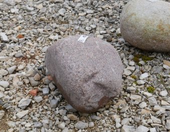  Vorschaubild FI100-35864