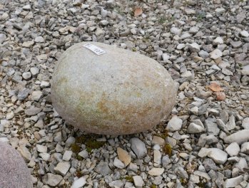  Vorschaubild FI101-35901